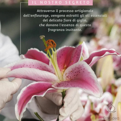 O Boticário Lily - Eau de Parfum 75ml