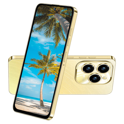 6.5-inch Screen, 2GB RAM+16GB ROM, 2MP+2MP Camera, Dual SIM, Dual Standby, GPS, Android 8.1 System, ASTARRY X5 Pro