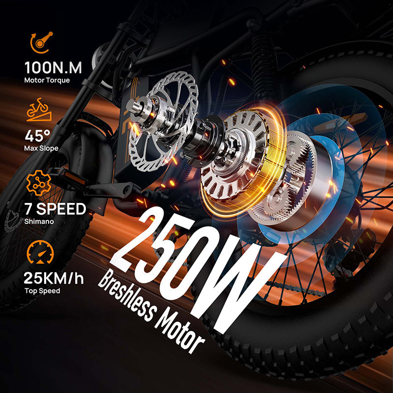 URLIFE T2 E-Bike Fat Tire 250W 54.6V 15.6Ah Bicicletta Elettrica MTB 20x4” 120KM Autonomia 7 Velocità Off Road Uomo Donna