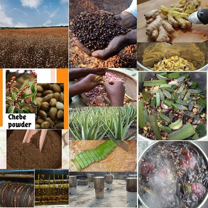 Artisanal Traditional Powerful Hair Nourishing Oil Giving Africans Long Natural Hair