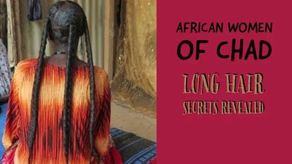 300ml Super Fast Hair Growth Shampoo Combining Africa Chad Chebe Powder Local Ingredients with Polygonum multiflorum